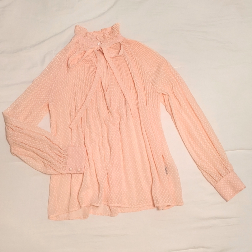 Sheer Tie Front Blouse